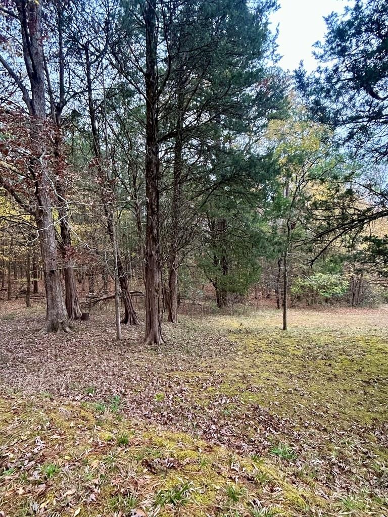 0 Darwin Road Gaffney, SC 29340 - Photo 3 of 3 Gallery Image 3