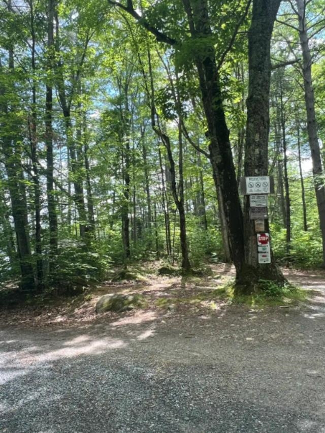 0 Cove Road Canaan, NH 03741 - Photo 13 of 14 Gallery Image 13
