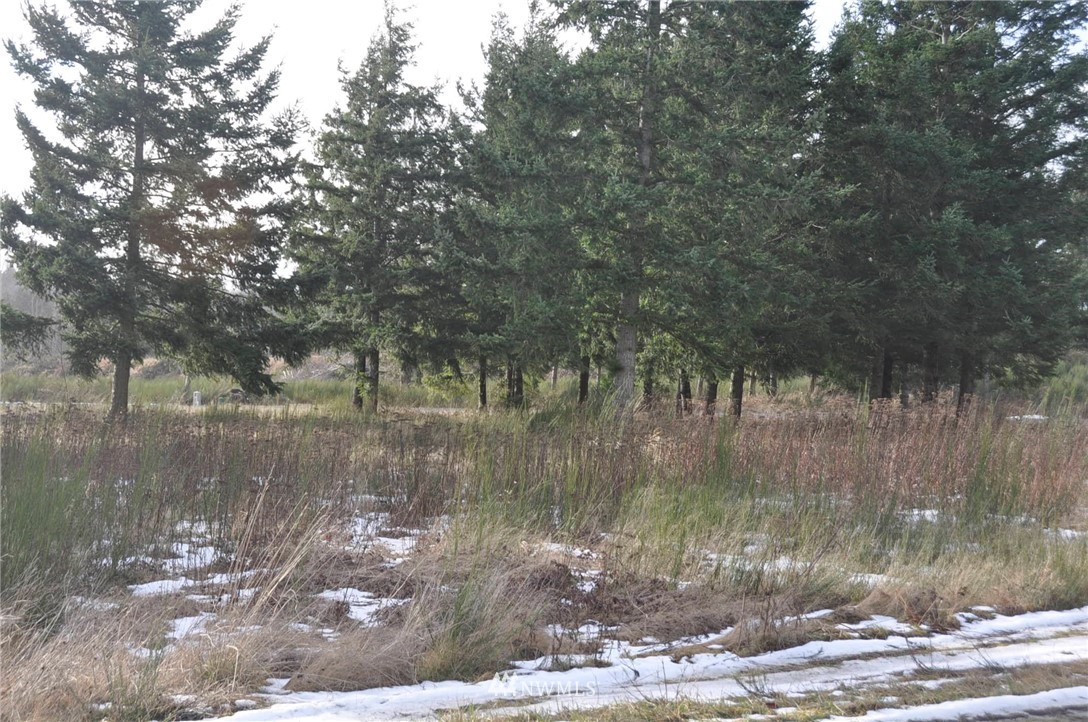 2560 Delta Ring Road Ferndale, WA 98248 - Photo 6 of 8