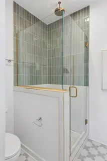 a bathroom with a shower and a toilet