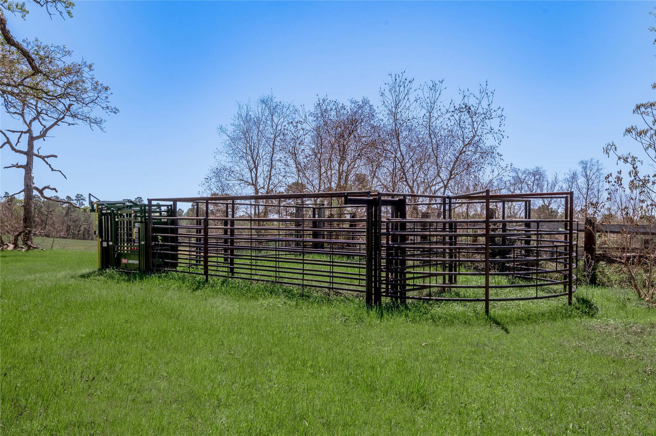 2792 Highway 287 Groveton, TX 75845 - Photo 19 of 25 a view of outdoor space