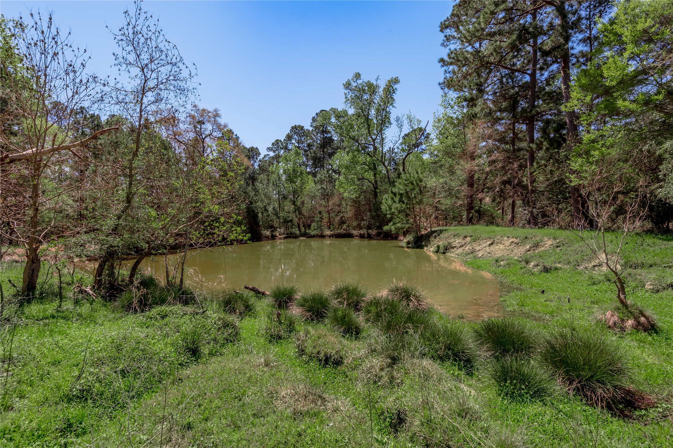 2792 Highway 287 Groveton, TX 75845 - Photo 20 of 25 a view of lake with green space