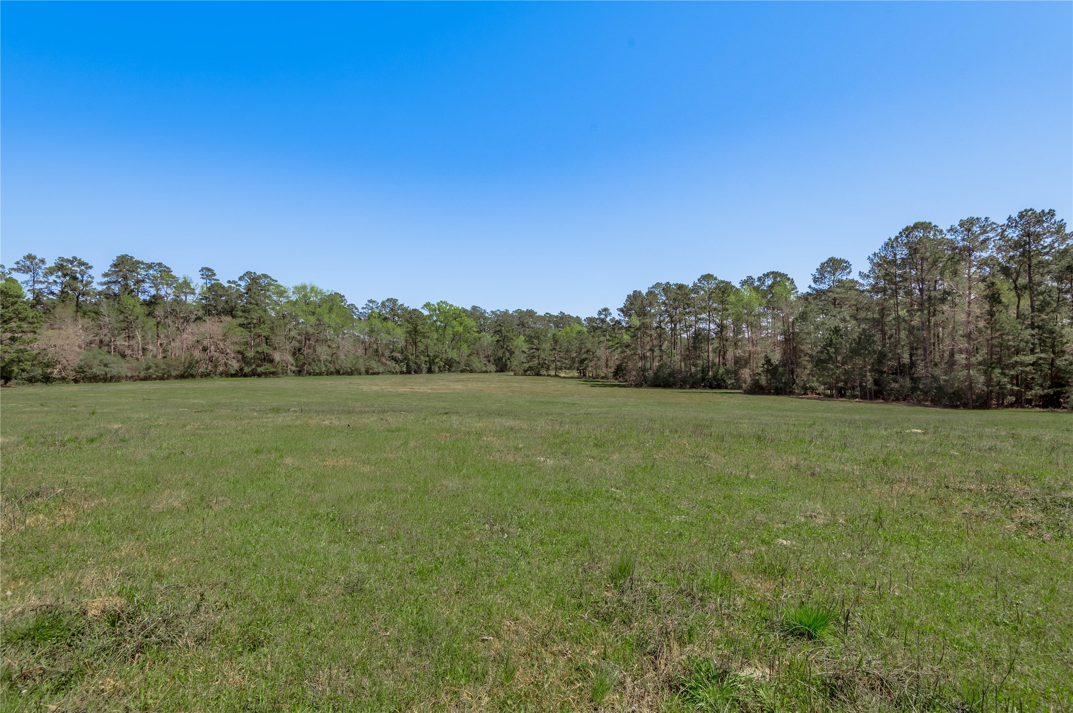 2792 Highway 287 Groveton, TX 75845 - Photo 21 of 25 a view of a field with trees in background
