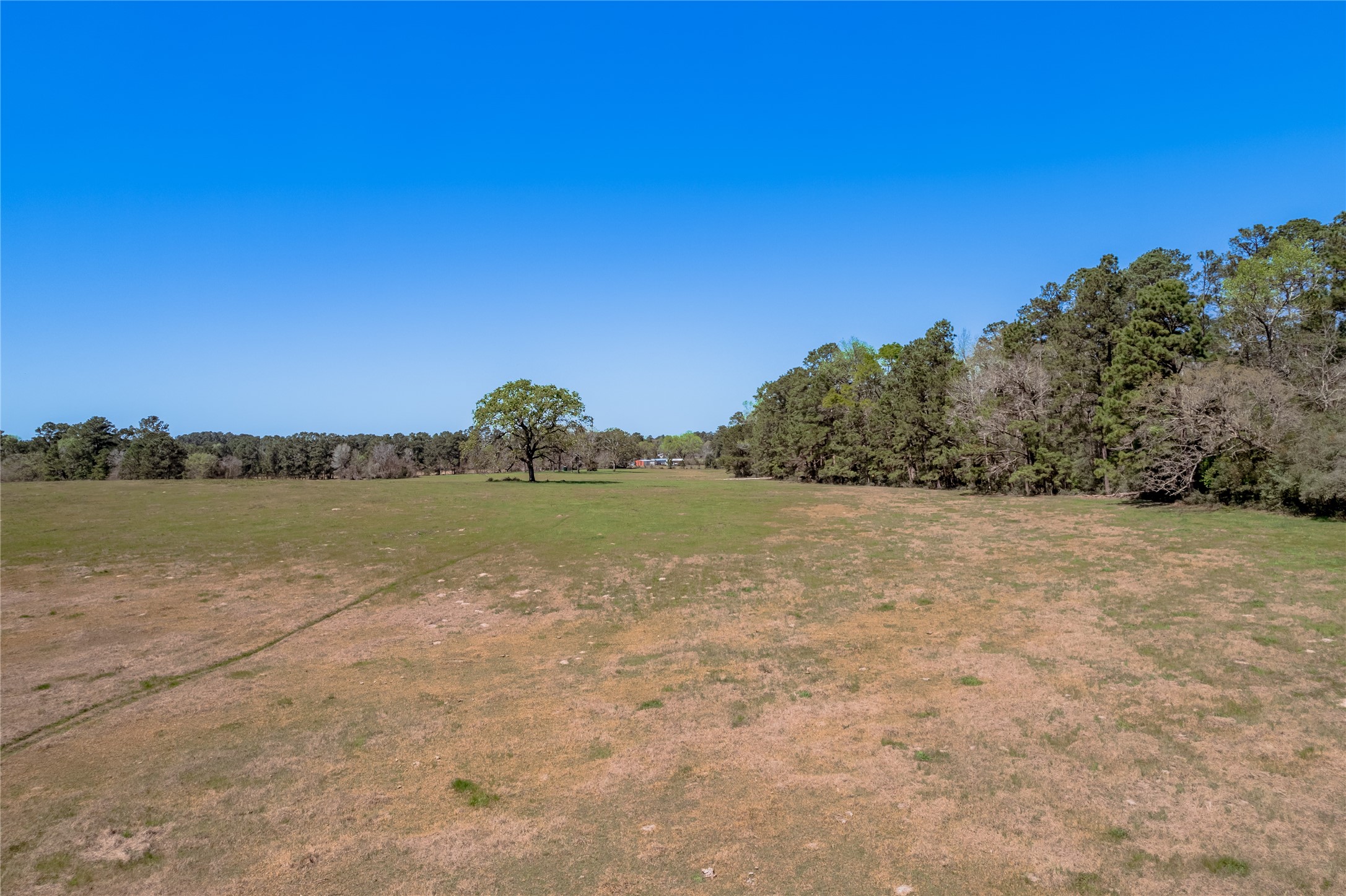 2792 Highway 287 Groveton, TX 75845 - Photo 23 of 25 a view of lake view and mountain view