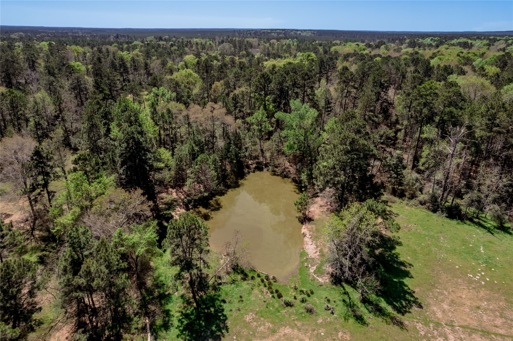 2792 Highway 287 Groveton, TX 75845 - Photo 24 of 25 a view of a lake with a mountain in the background