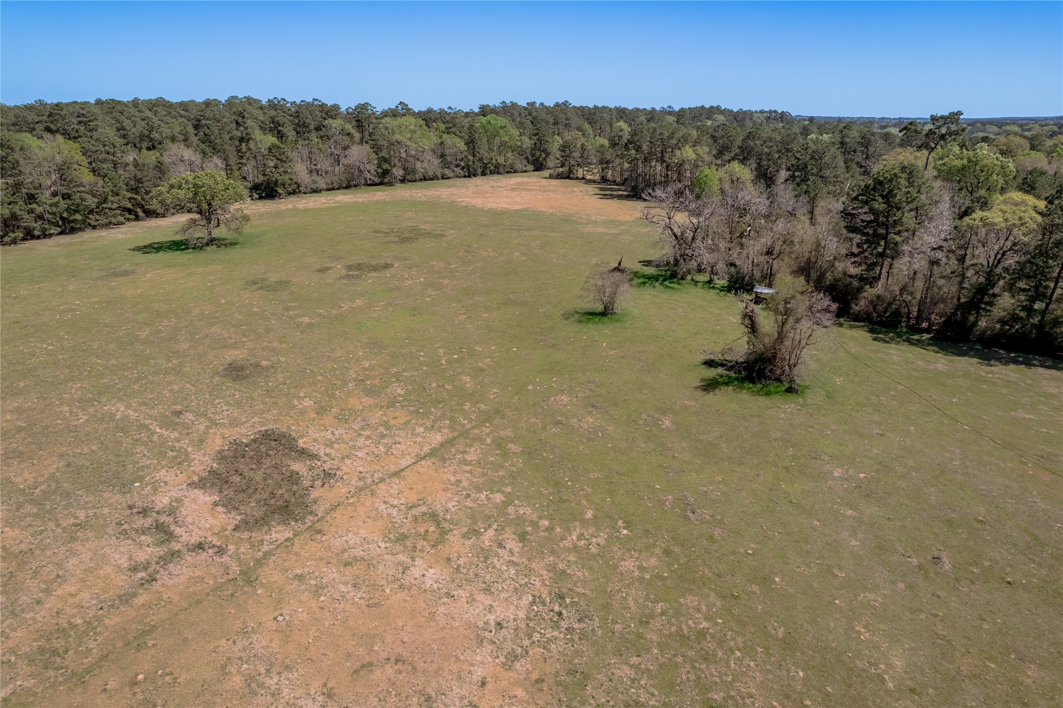 2792 Highway 287 Groveton, TX 75845 - Photo 25 of 25 a view of a field