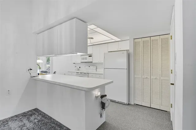 a view of a park with large trees