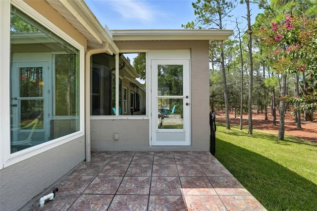 a view of a yard with an tree