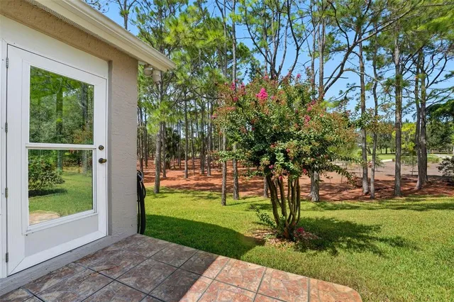 a view of road with trees