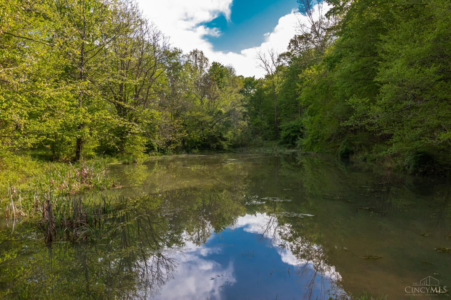 2432 Johnson Run Road Stout, OH 45684 - Photo 21 of 57 Gallery Image 21