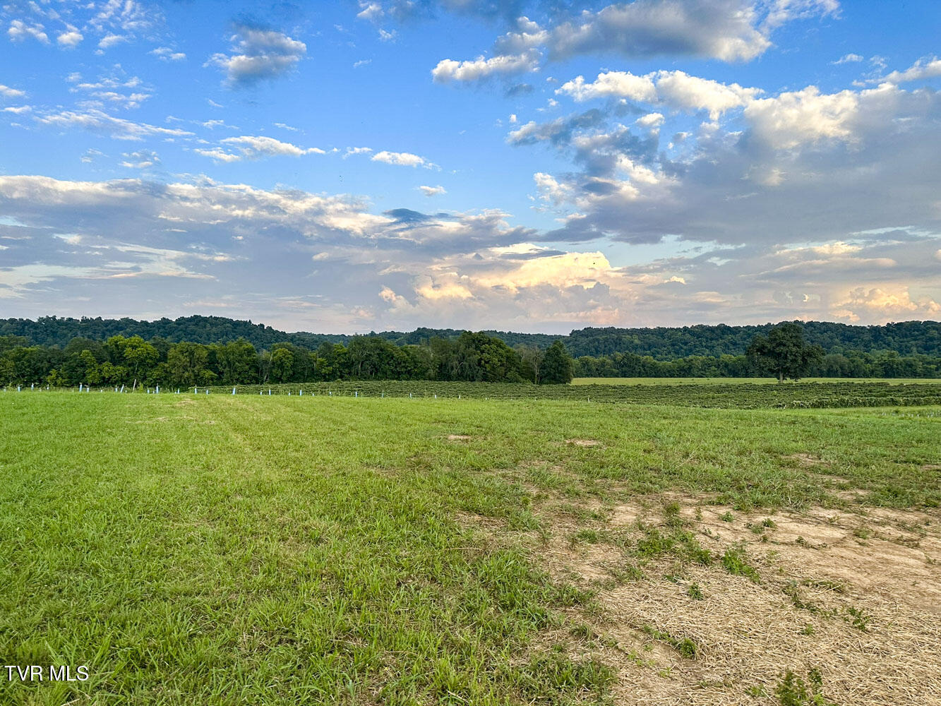 1515 River Path Morristown, TN 37813 - Photo 5 of 26 IMG_1394