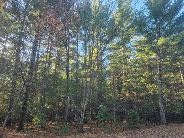 $59,900 | Xxx East Harmon Avenue East, Grantsburg, WI 54840