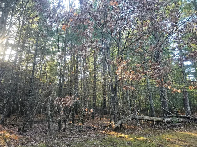 $59,900 | Xxx East Harmon Avenue East, Grantsburg, WI 54840