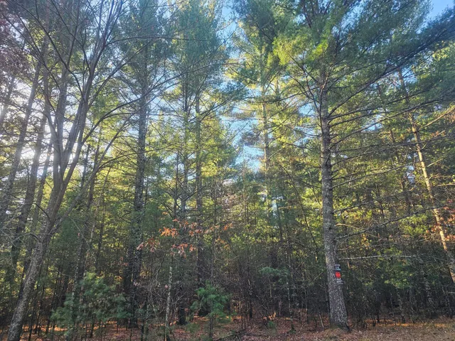 $59,900 | Xxx East Harmon Avenue East, Grantsburg, WI 54840