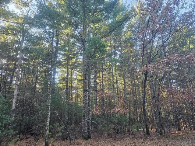 $59,900 | Xxx East Harmon Avenue East, Grantsburg, WI 54840