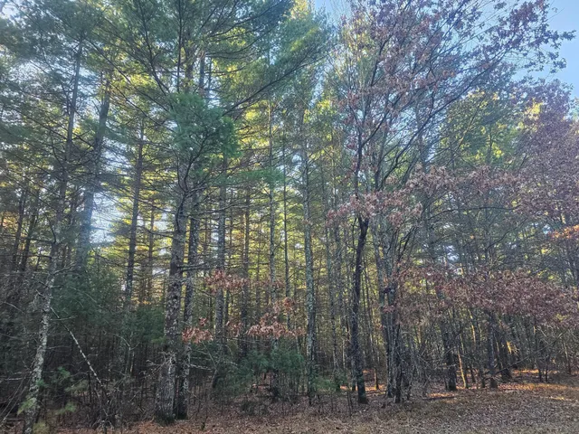 $59,900 | Xxx East Harmon Avenue East, Grantsburg, WI 54840