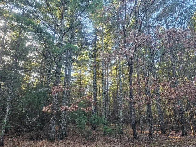 $59,900 | Xxx East Harmon Avenue East, Grantsburg, WI 54840