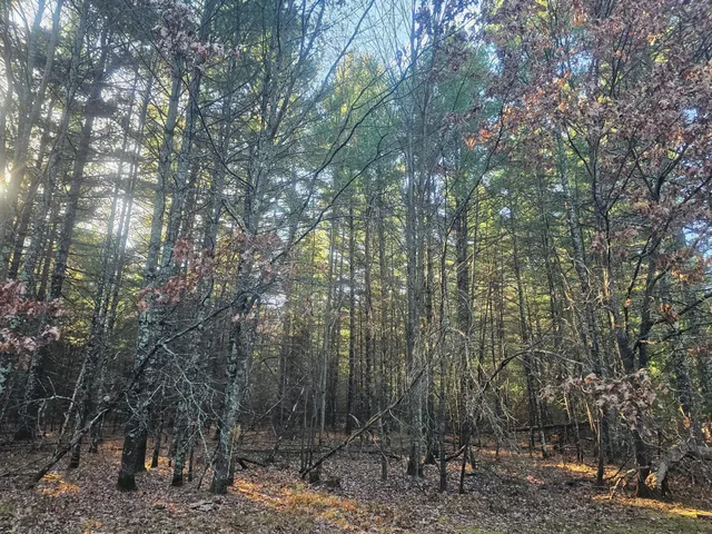 $59,900 | Xxx East Harmon Avenue East, Grantsburg, WI 54840