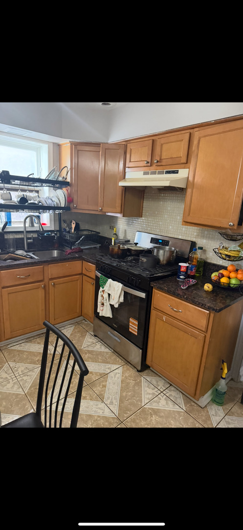 4514 North Springfield Avenue Chicago, IL 60625 - Photo 20 of 36