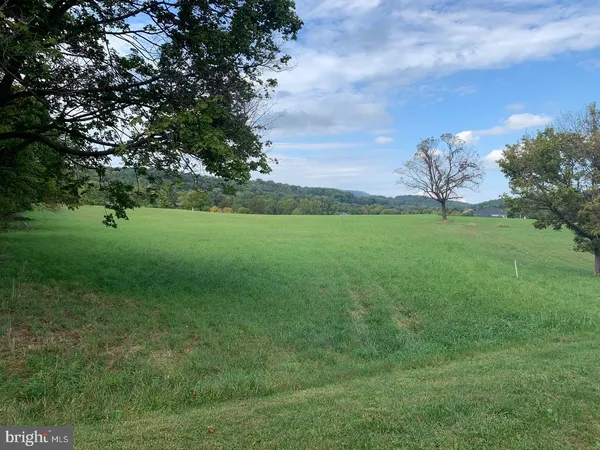 a view of a field of grass and trees