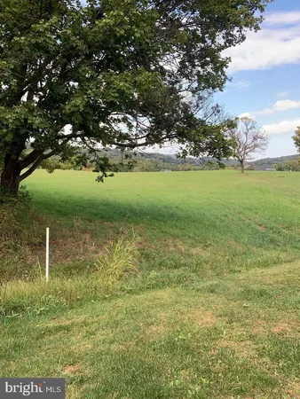 a view of yard with green space