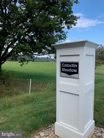 a green field with trees in the background
