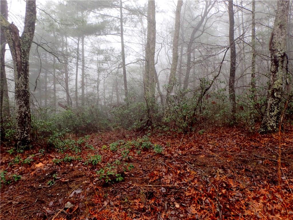 18 Wolf Pit Road Nebo, NC 28761 - Photo 3 of 8 Gallery Image 3