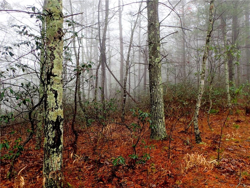 18 Wolf Pit Road Nebo, NC 28761 - Photo 7 of 8 Gallery Image 7