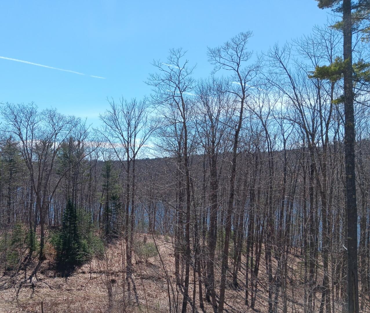 0 Robbins Road Belfast, ME 04915 - Photo 19 of 20 1000029047
