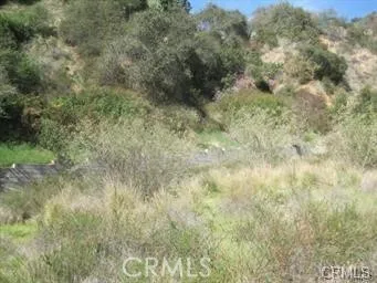 a view of a dry yard