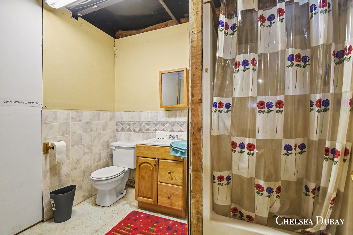 1734 Arthur Street Marne, MI 49435 - Photo 21 of 28 019_file_7335copy