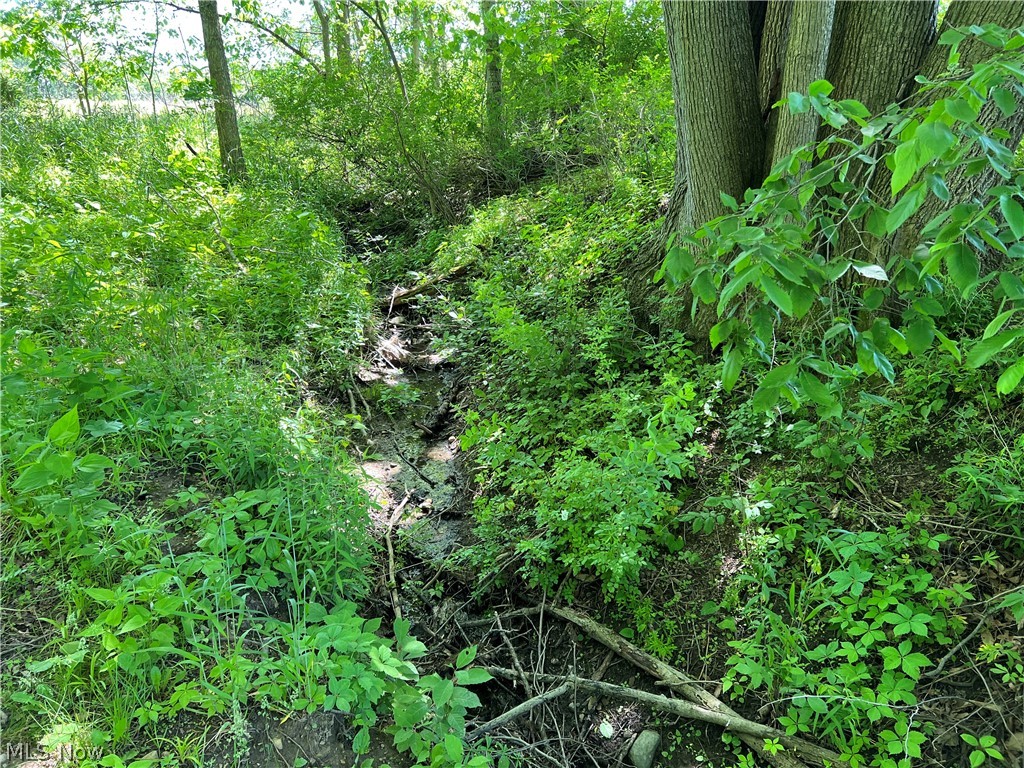 Shaw Road Spencer, OH 44275 - Photo 2 of 8