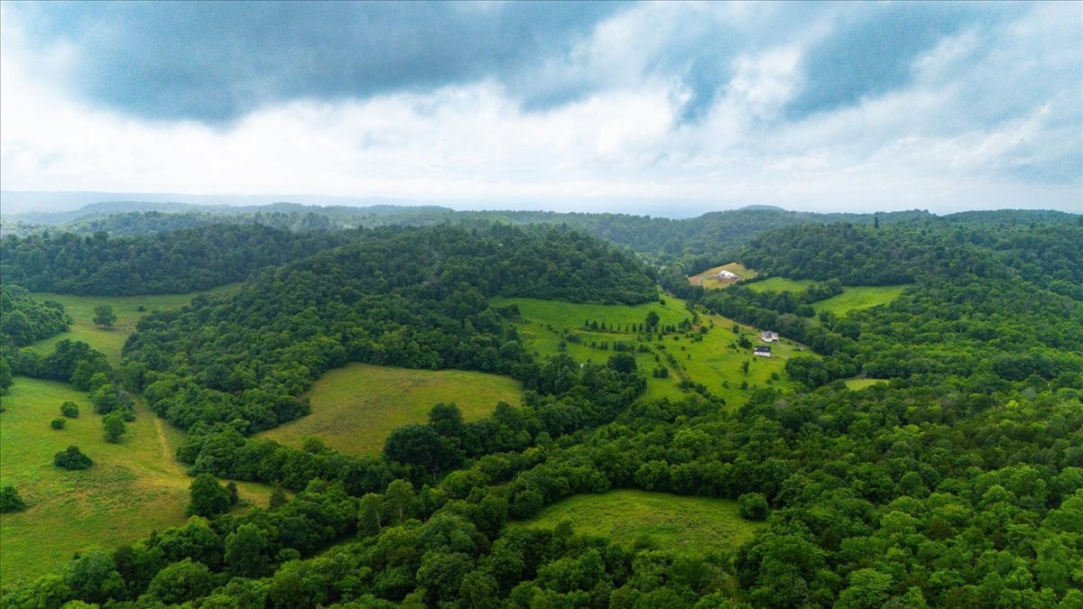 0 Opossum Paw Road Beechgrove, TN 37018 - Photo 4 of 5