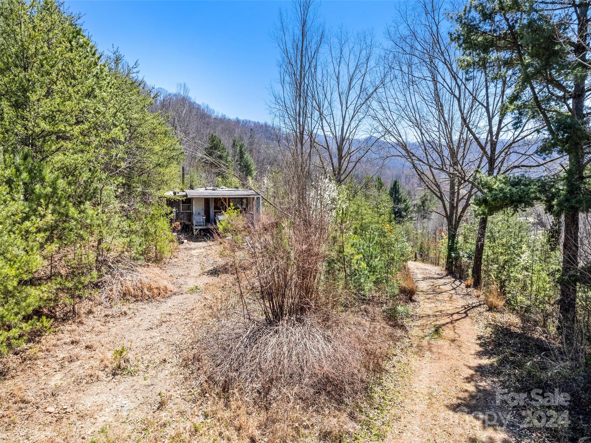 269 Turtle Springs Road, Unit LOT 10A Canton, NC 28716 - Photo 1 of 12 a view of a yard with plants and a large tree
