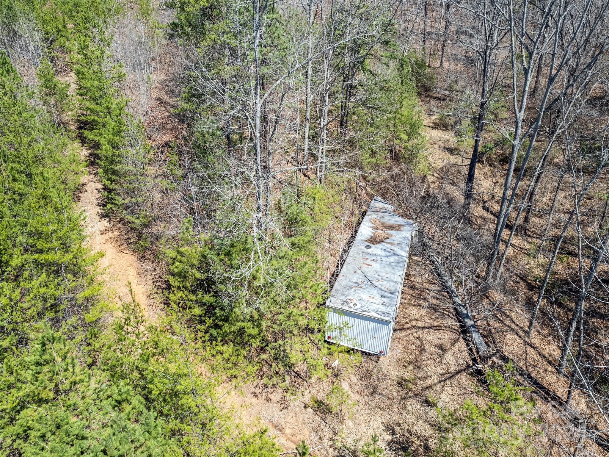 269 Turtle Springs Road, Unit LOT 10A Canton, NC 28716 - Photo 11 of 12 a view of a yard with plants