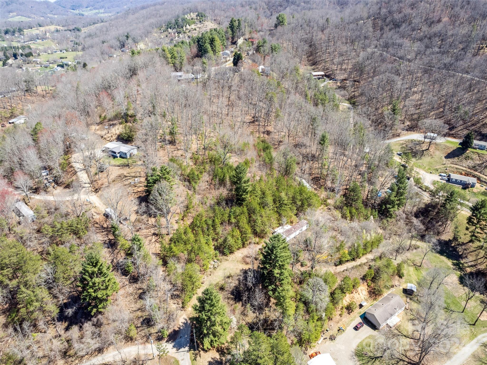 269 Turtle Springs Road, Unit LOT 10A Canton, NC 28716 - Photo 3 of 12 a view of a forest with a house