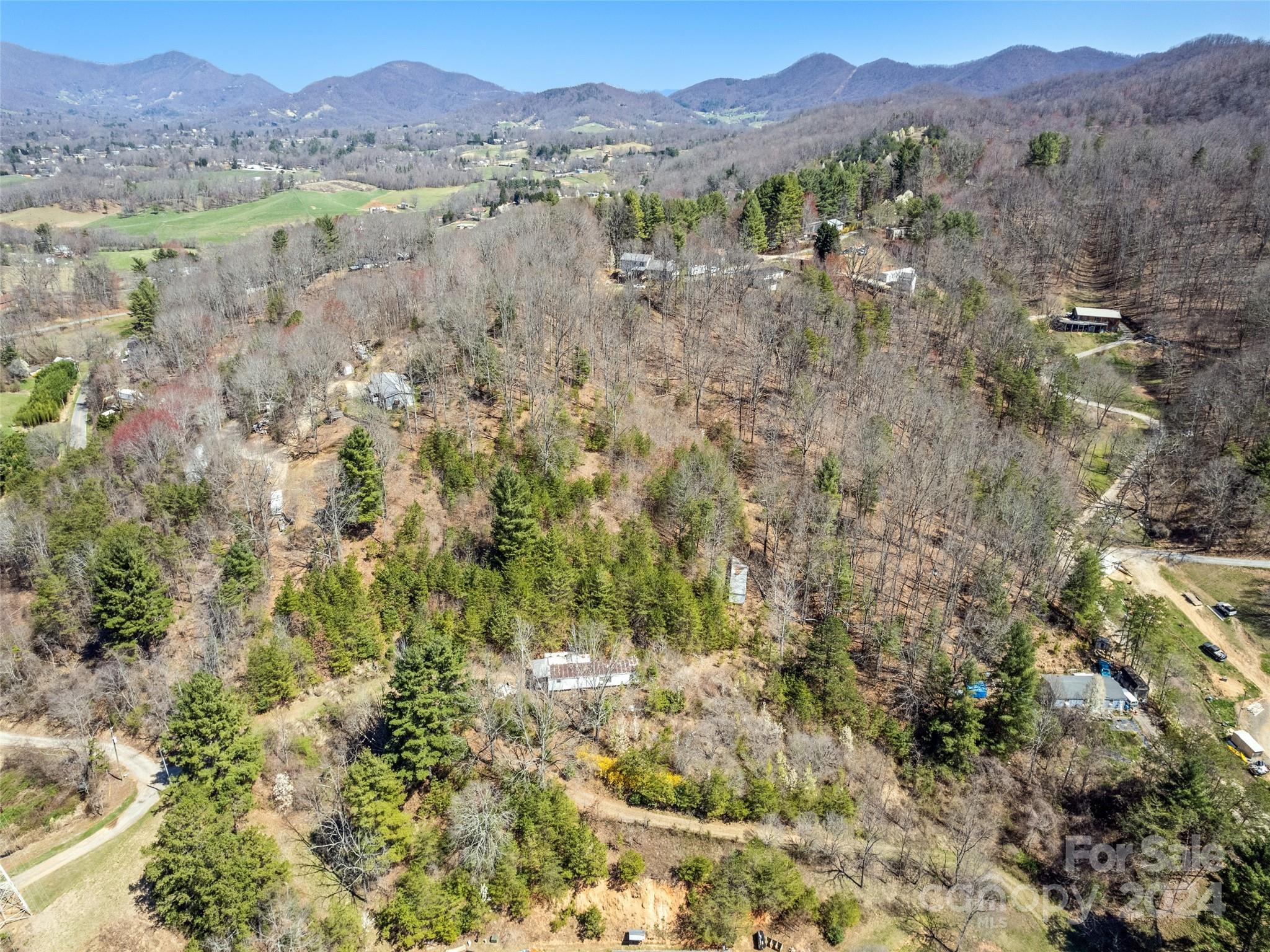 269 Turtle Springs Road, Unit LOT 10A Canton, NC 28716 - Photo 4 of 12 a view of lake with mountain