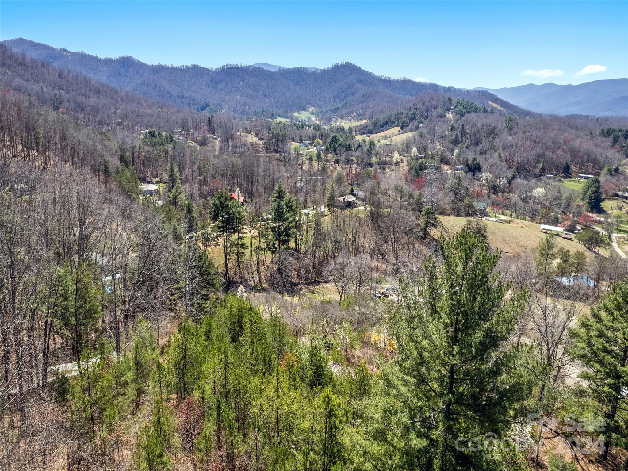 269 Turtle Springs Road, Unit LOT 10A Canton, NC 28716 - Photo 10 of 12 a view of a lush green hillside and a houses