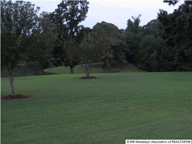 226 Salem Road Senatobia, MS 38668 - Photo 27 of 27 Additional Photo