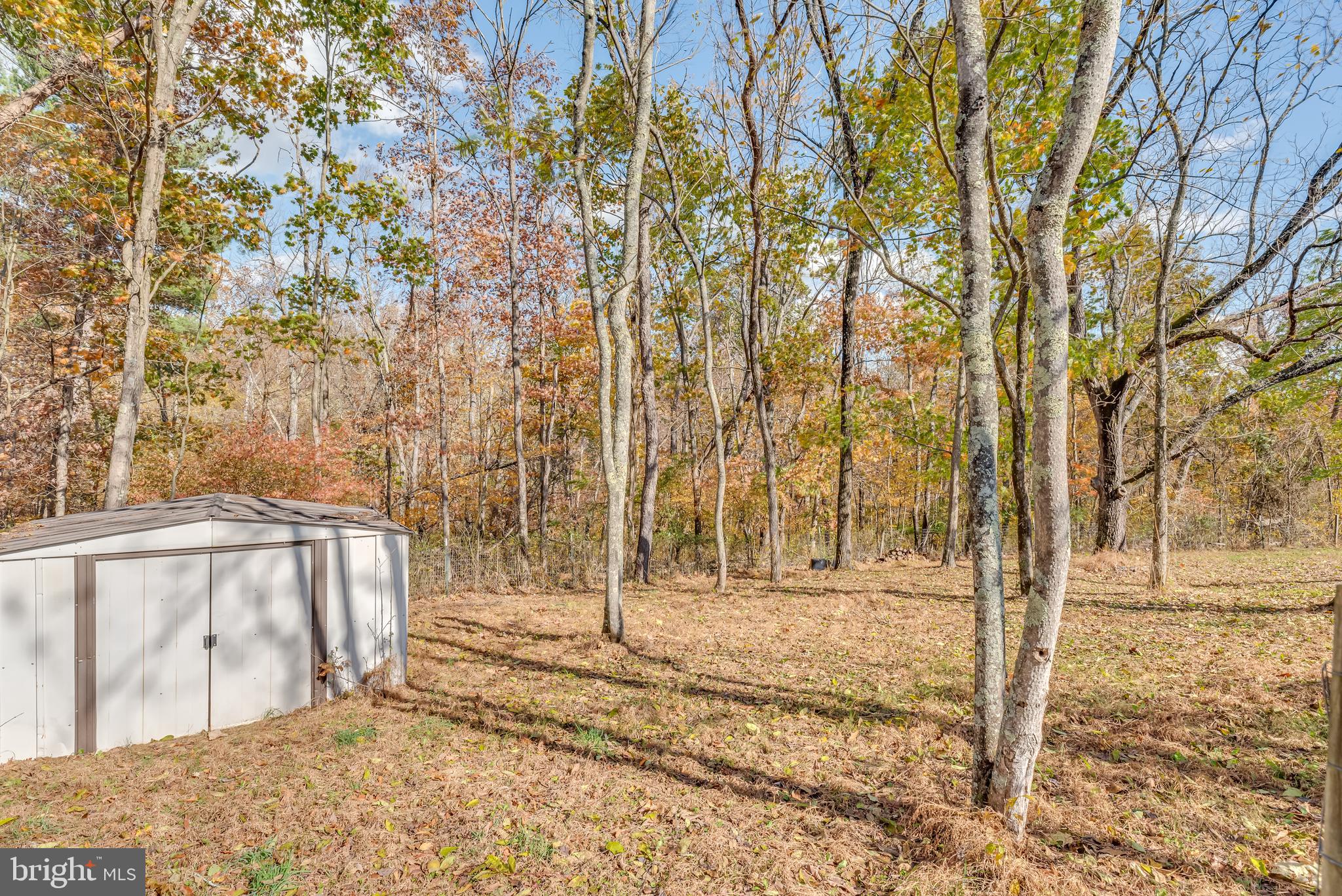 5756 Cherry Run Road Hedgesville, WV 25427 - Photo 64 of 85 Shed