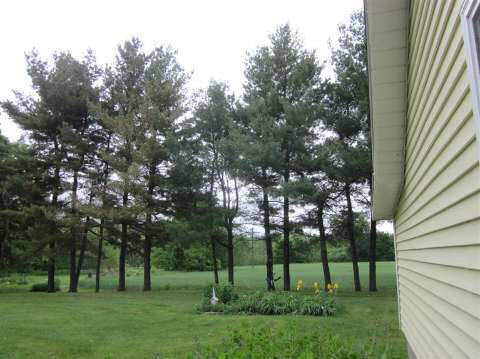 12014 Miller Road Lennon, MI 48449 - Photo 24 of 28 20358725-24.JPG