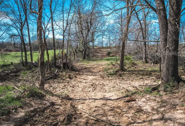 $295,000 | 29660 King Road, Stoutland, MO 65567