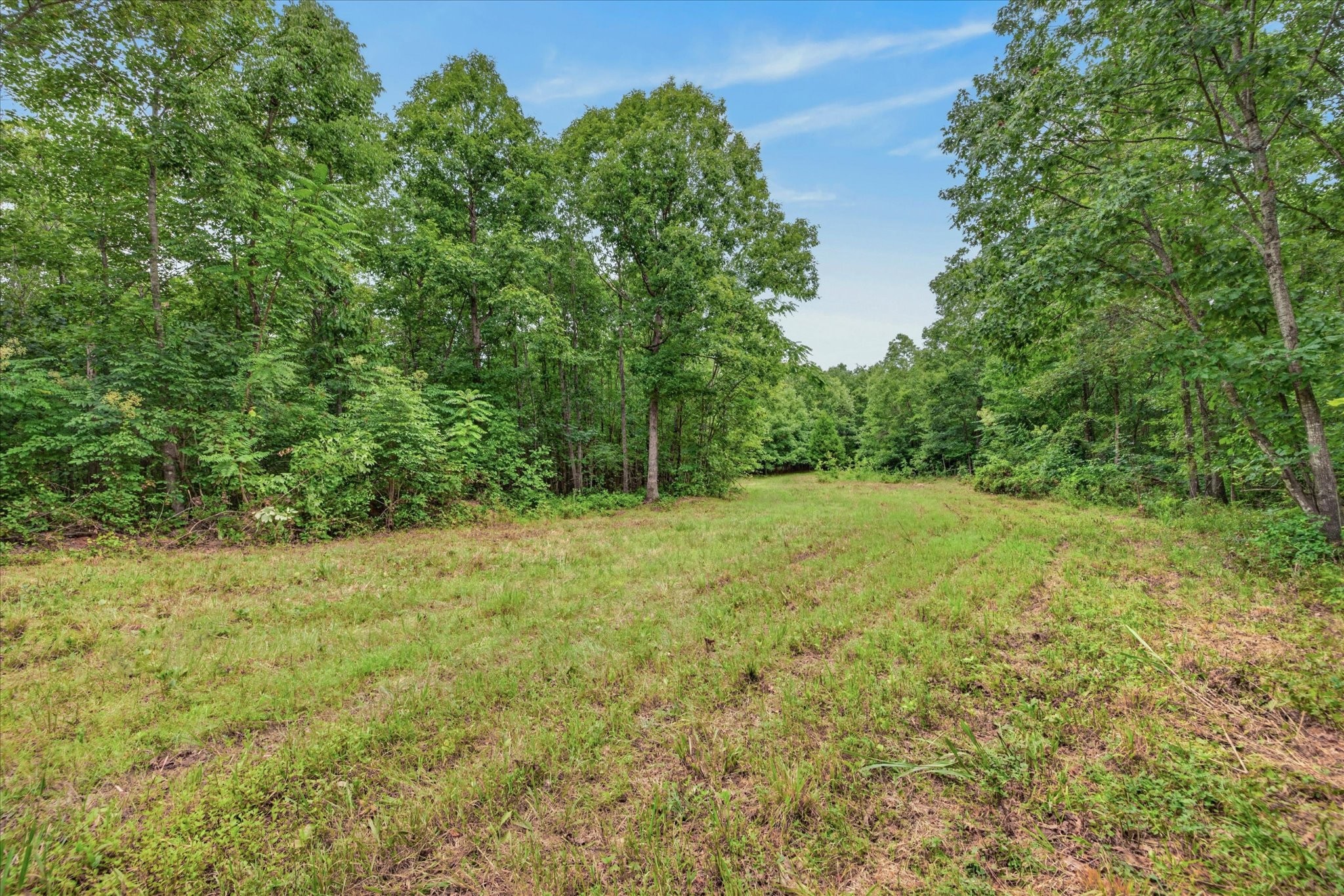 1 Whiteoak Road Stewart, TN 37175 - Photo 8 of 18 Gallery Image 8