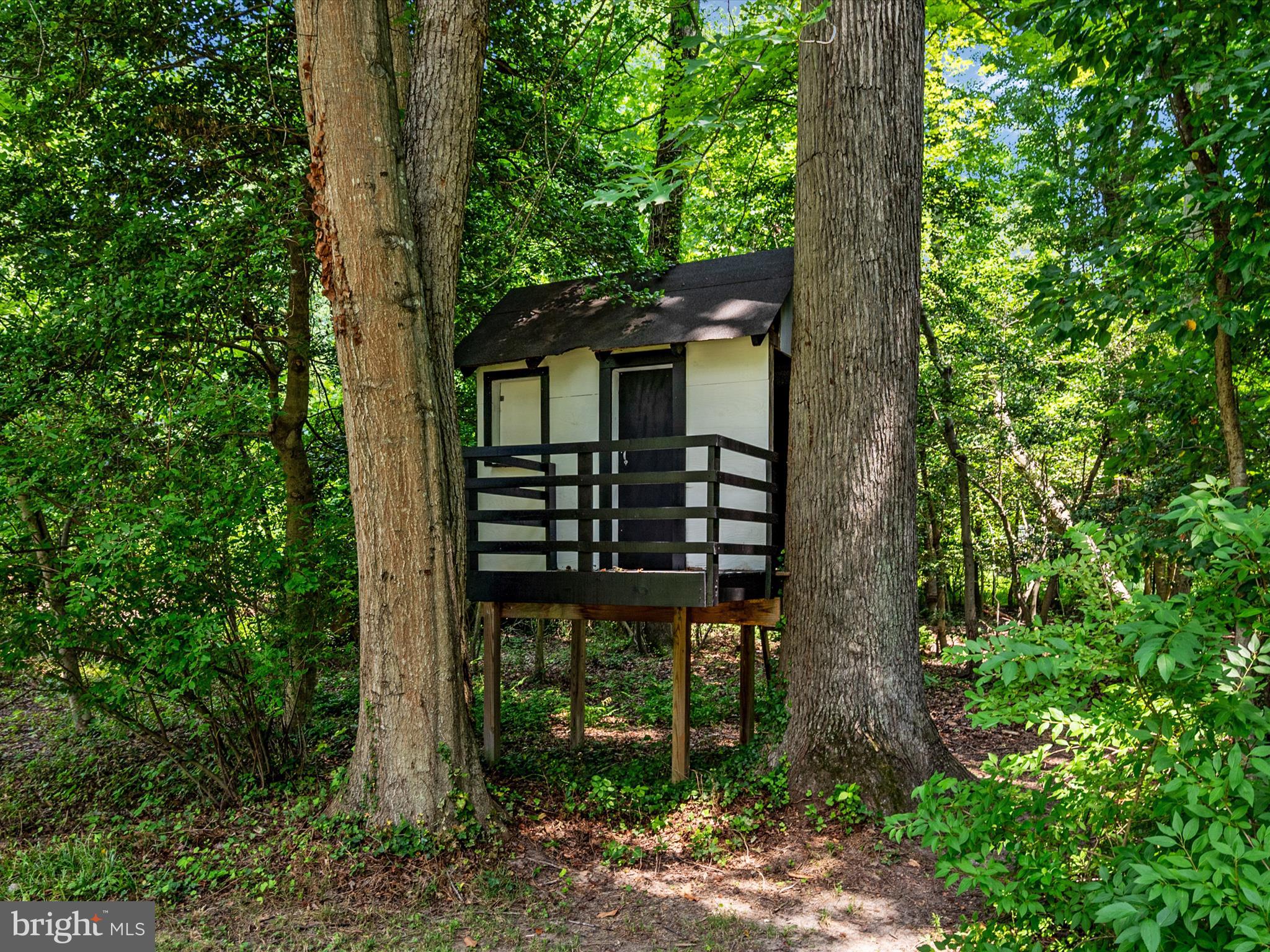 1615 Ridout Road Annapolis, MD 21409 - Photo 36 of 55 Playhouse For The Kids!