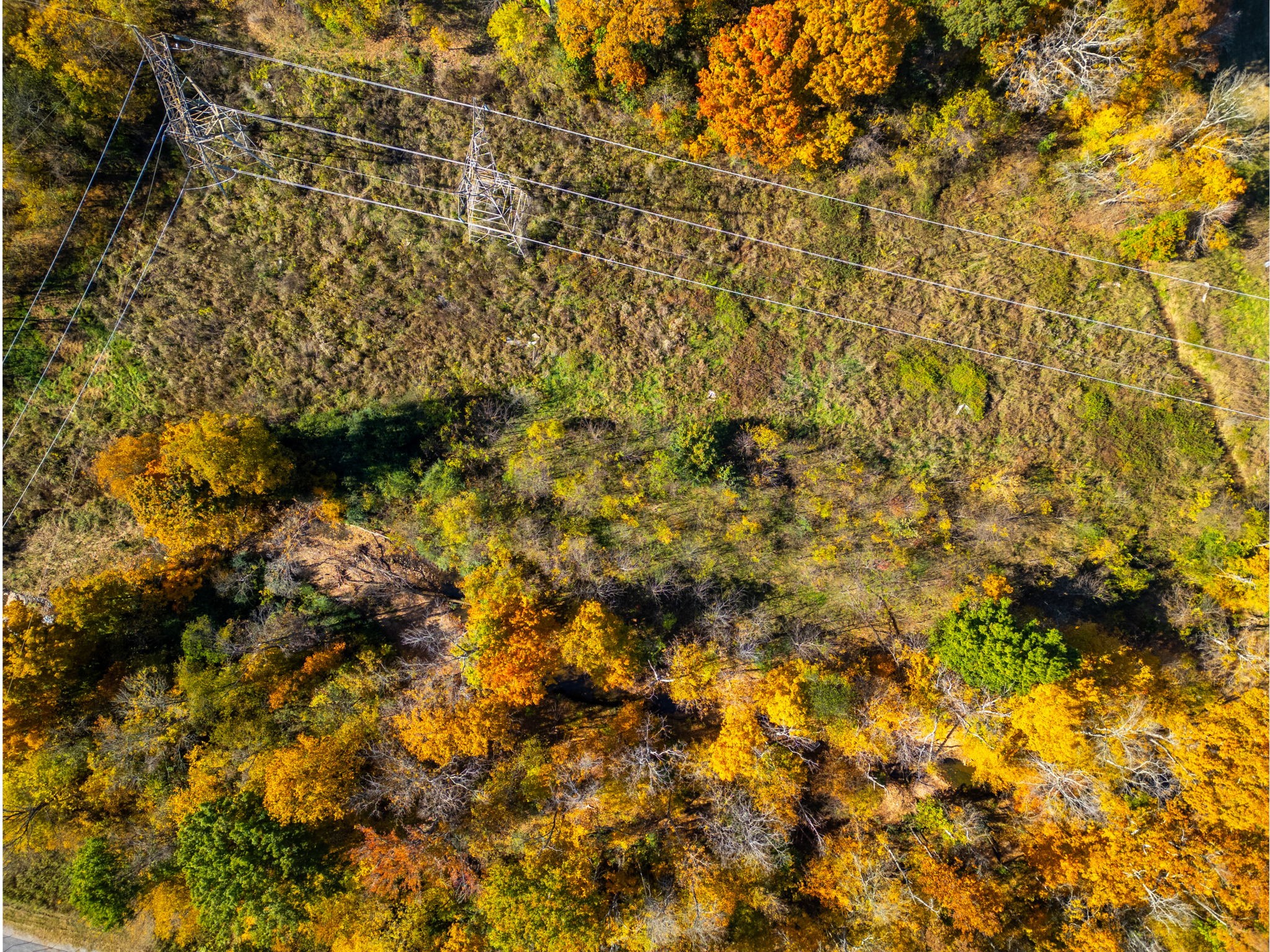 0 Brookside Point Springfield, TN 37172 - Photo 18 of 19