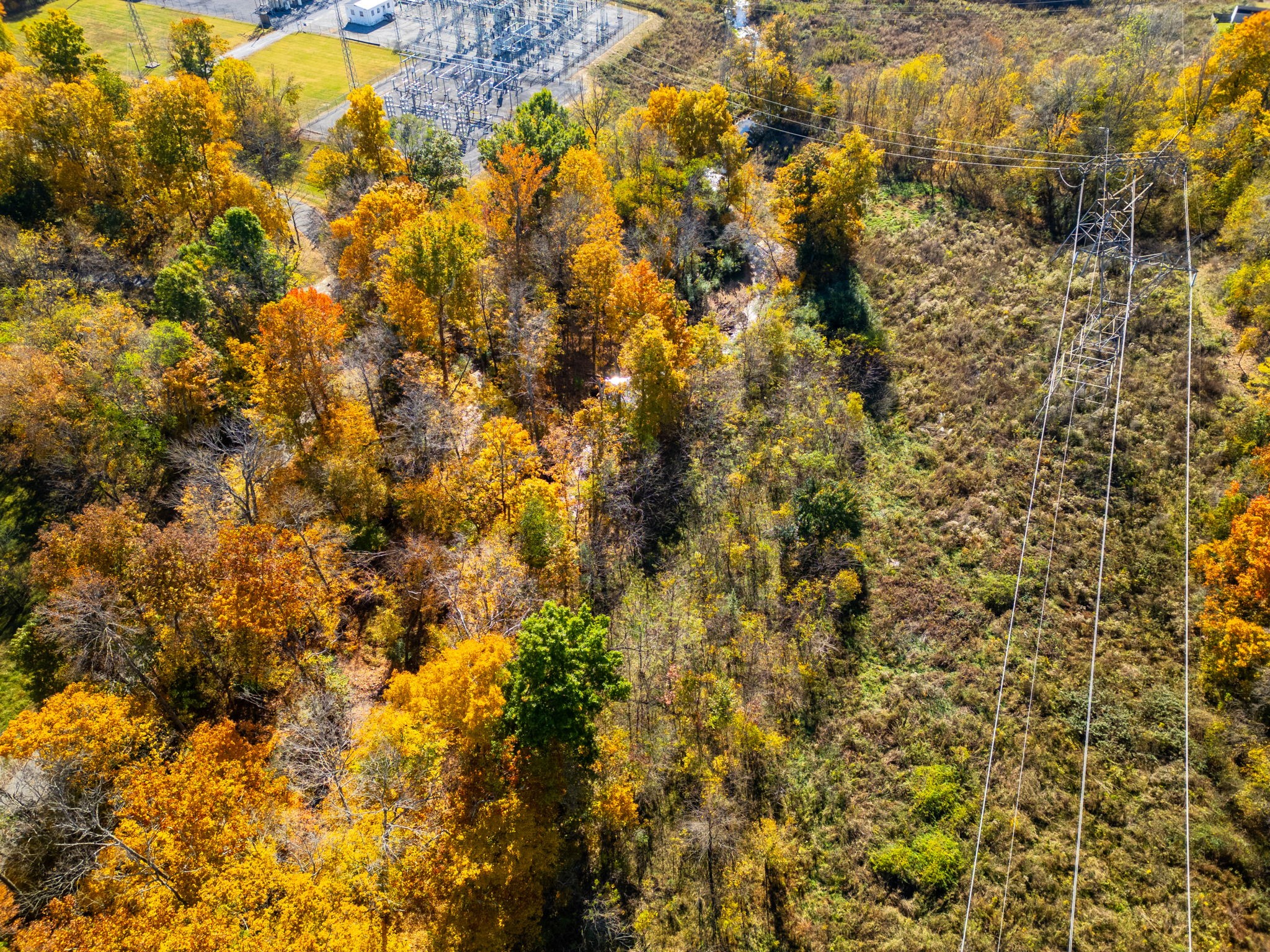 0 Brookside Point Springfield, TN 37172 - Photo 8 of 19