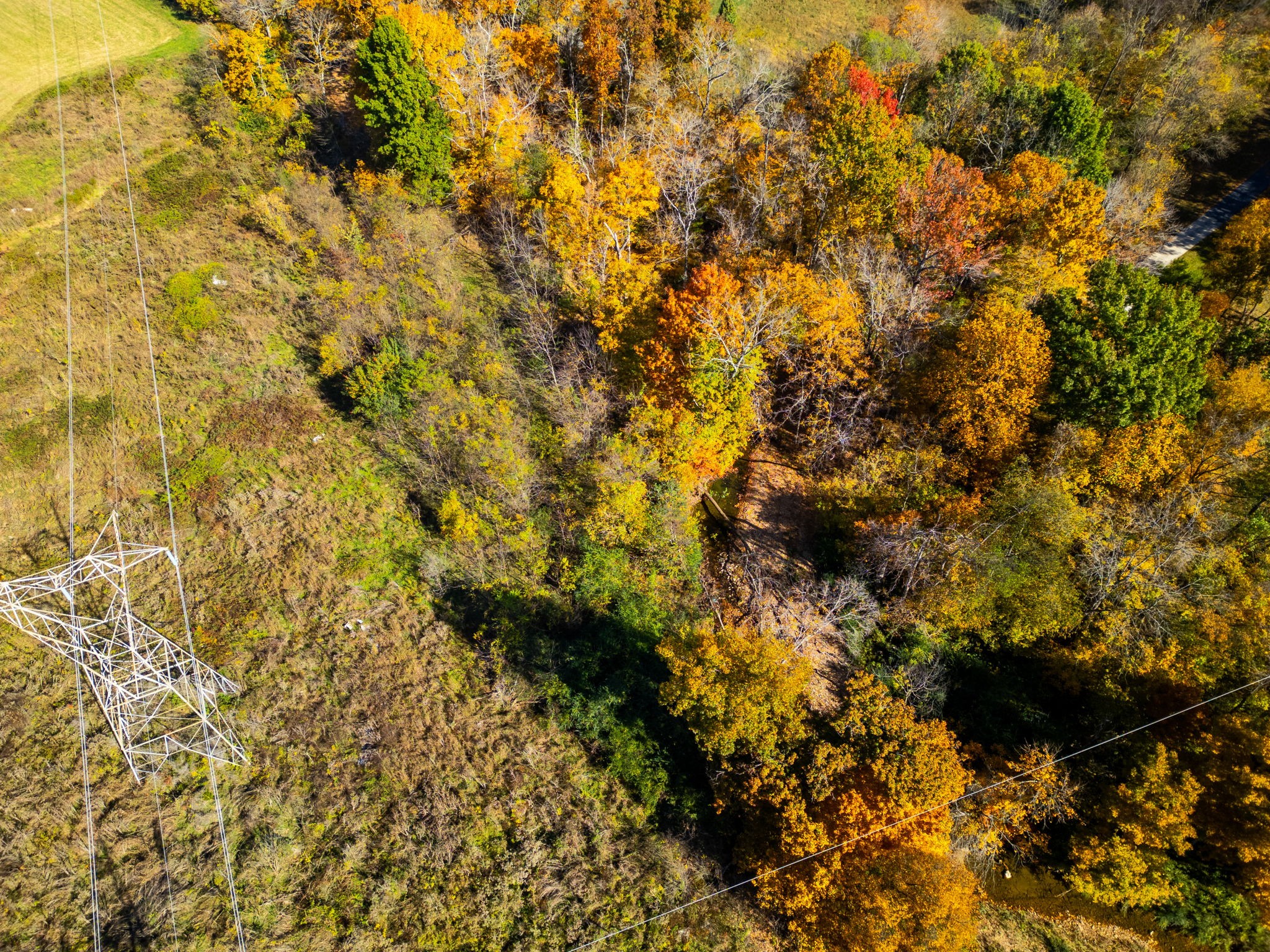 0 Brookside Point Springfield, TN 37172 - Photo 9 of 19
