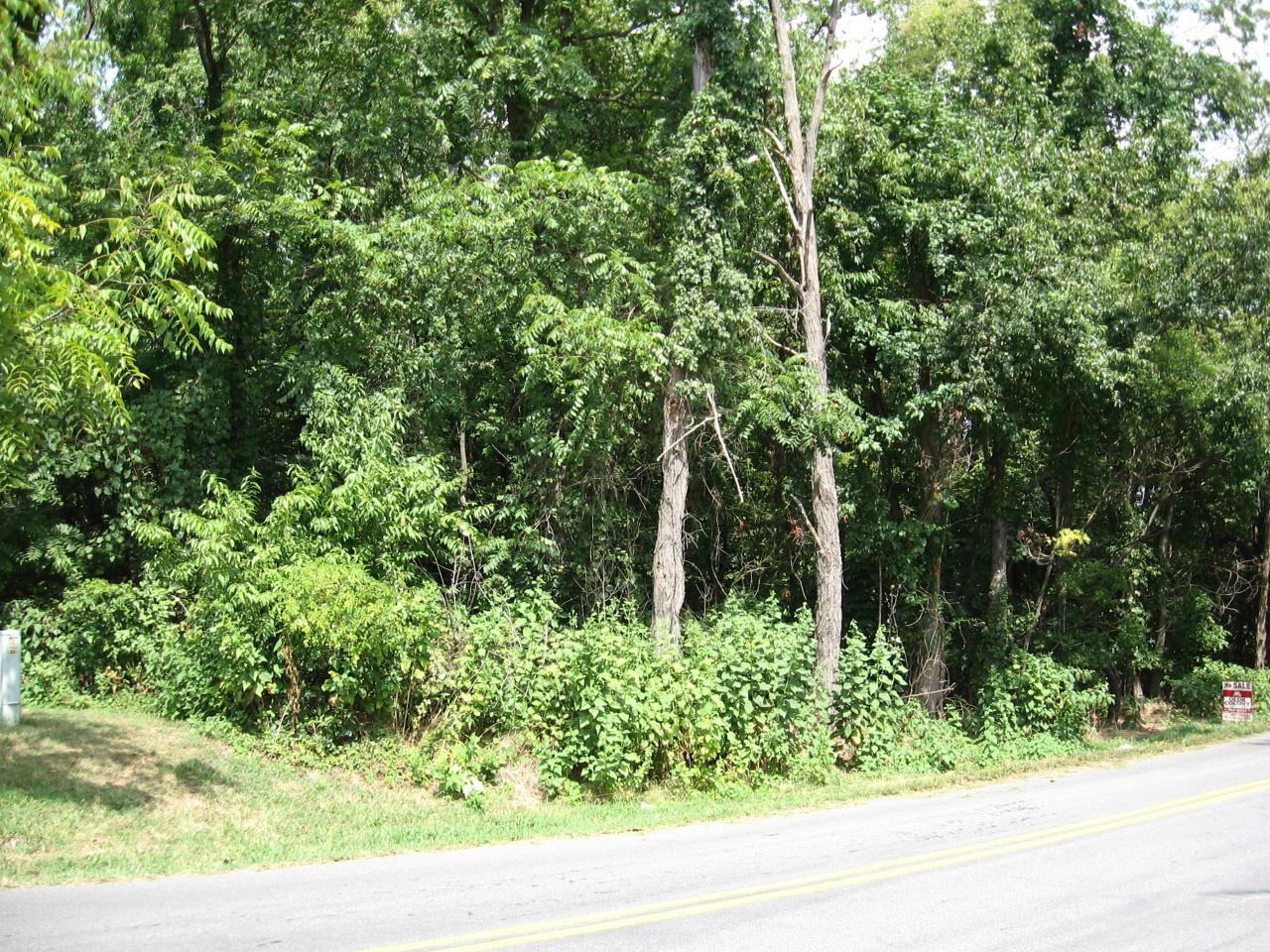 0 Carson Road Northeast Roanoke, VA 24012 - Photo 1 of 1 lot photo