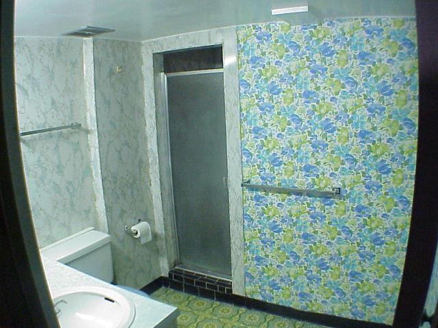 1744 Pomeroy Road Salem, VA 24153 - Photo 14 of 17 Lower Bathroom