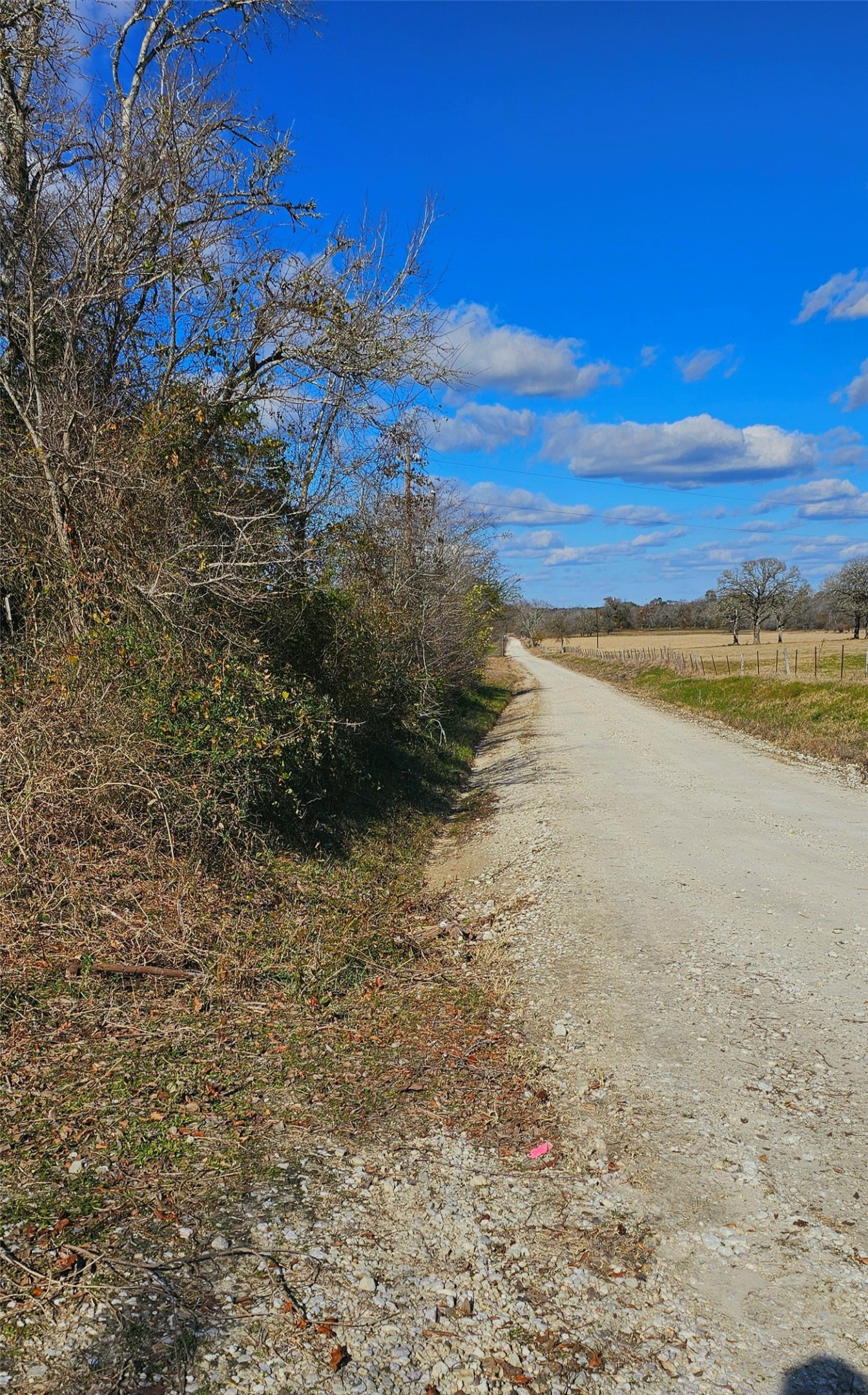 Tbd Davis Road Bedias, TX 77831 - Photo 6 of 9